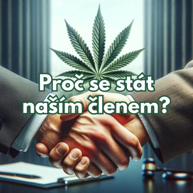 🌿👉 Pokud jsi náš člen, napiš nám, jaké výhody jsou pro tebe nejdůležitější! 

🌿👉 Pokud jsi prodejce, neváhej se nám ozvat! Společně můžeme změny prosadit účinněji!

🌿👉 Do komentářů nám napiš svůj názor na naši asociaci! Za sdílení budeme moc vděční. 

.

.

.

#harmreduction #pozor #osveta #legal #medical #racionalnipolitika #politika #soud #vlada #🌿 #abk #svobodavolby #news #czech #regulace #info